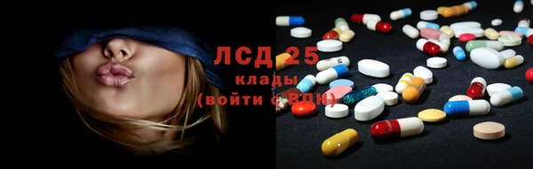 шишки Балабаново