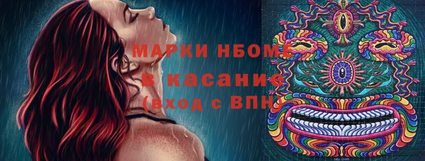 шишки Балабаново