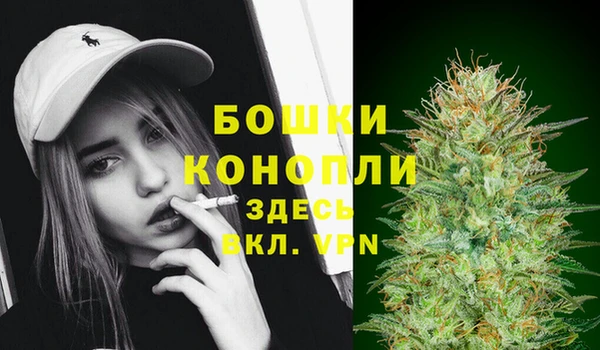 шишки Балабаново