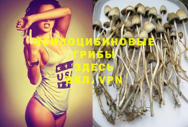 винт Балахна